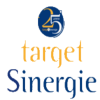 Logo Target Sinergie